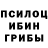 Псилоцибиновые грибы Cubensis Jonny Axtelius