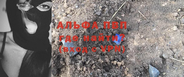 сатива Богородицк