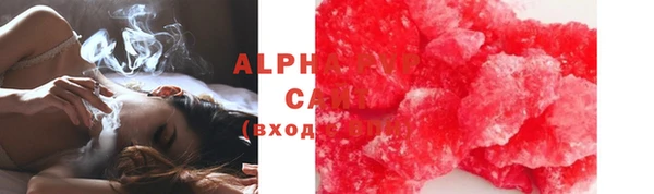 прущие грибы Гатчина